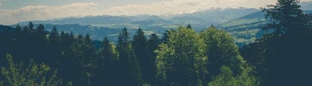 prendre soin de ses forêtes